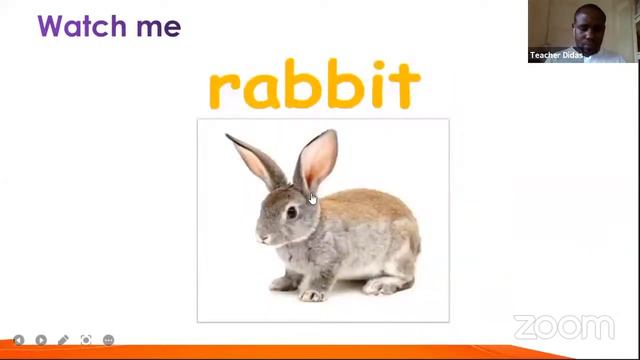 PRIMARY TWO LITERACY ONE ON ANIMAL MOVEMENT By Teacher Didas смотреть онлайн
