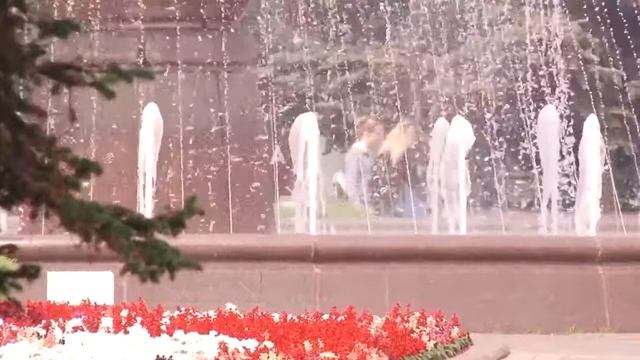 20190805-Акция 'Меха и перья' в отделе природы смотреть онлайн