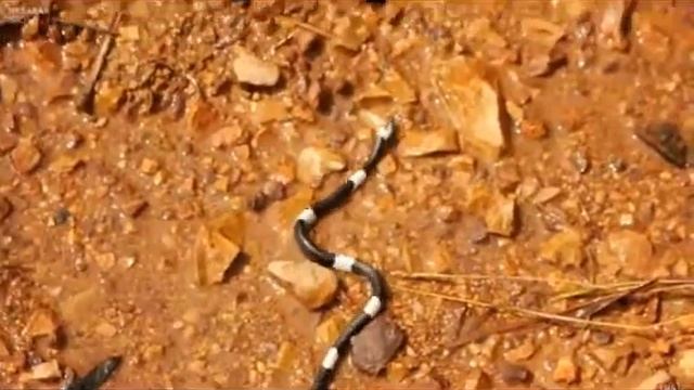 Потоки энергии