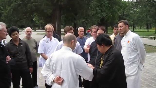 Chen Yu tuishou class смотреть онлайн