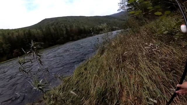 Рыбалка в Хакасии. УАЗик везет от хариуса (часть 2) смотреть онлайн