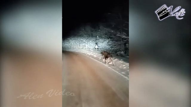 Бывает же такое... It happens, doesn't it... ?! смотреть онлайн