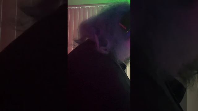 Oogie Boogie’s Song (cover) смотреть онлайн