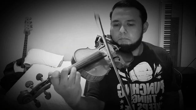 Stirb Nicht Vor  Mir (No Mueras Antes Que Yo) Rammstein Cover Violin