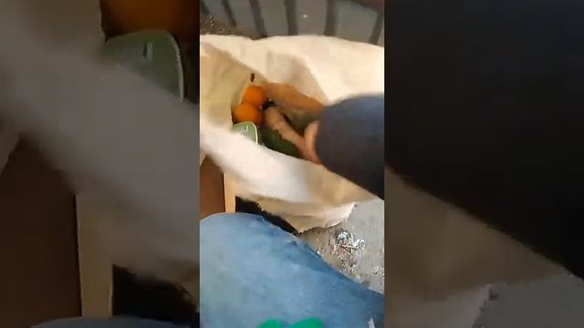 обзор находок из мусорки/что можно найти на помойки краснодара смотреть онлайн