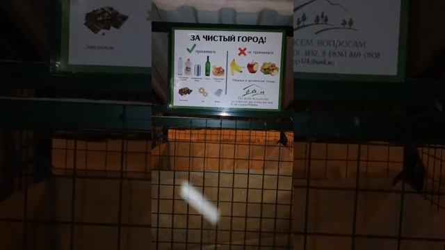 Сетчатые контейнеры для переработки отходов смотреть онлайн