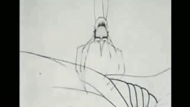 Winsor McCay - How A Mosquito Operates [1912] Set To Boards Of Canada