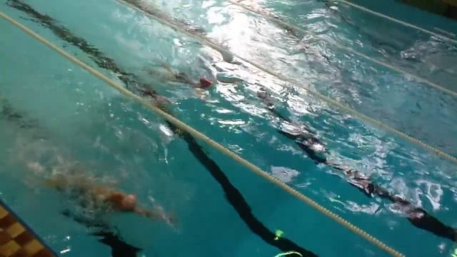 Заплывы преподавателей в РГАУ МСХА смотреть онлайн