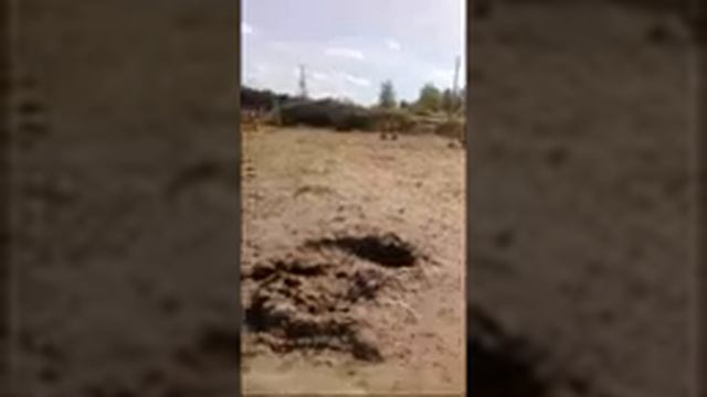 Танцы На Берегу смотреть онлайн