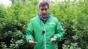 Chery Tiggo 8 - 1,5 и сухой робот? ОТСТАВИТЬ! Меня не слушать, МОКРЫЙ РОБОТ! От 07.06.2021. РЕЗЮМЕ.