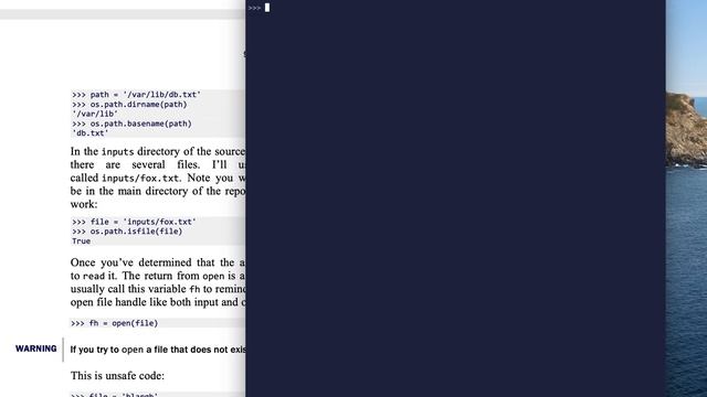 Tiny Python Projects: Ch 5 Pt 2 (Reading files) смотреть онлайн