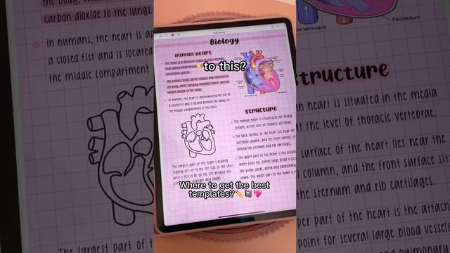 POV: you just got an iPad but... ?? iPad Pro 2022 | apple pencil | digital planner смотреть онлайн
