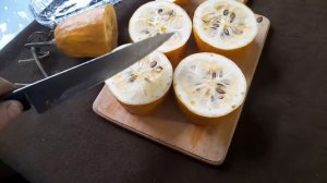 Мой первый опыт по дозариванию кассабананы.