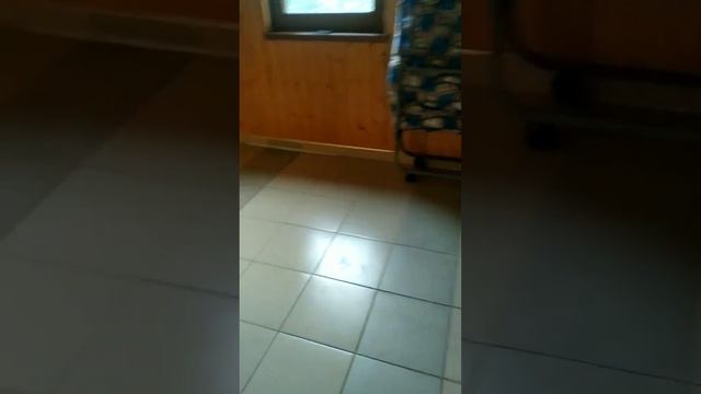 дорога в Адыгею ?️ смотреть онлайн