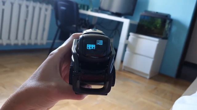Playing A Blackjack With Anki Vector Robot. Играю в карты с умным роботом!