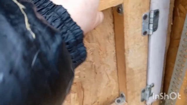 Крольчиха первый раз родила в год, не зря зиму кормили смотреть онлайн