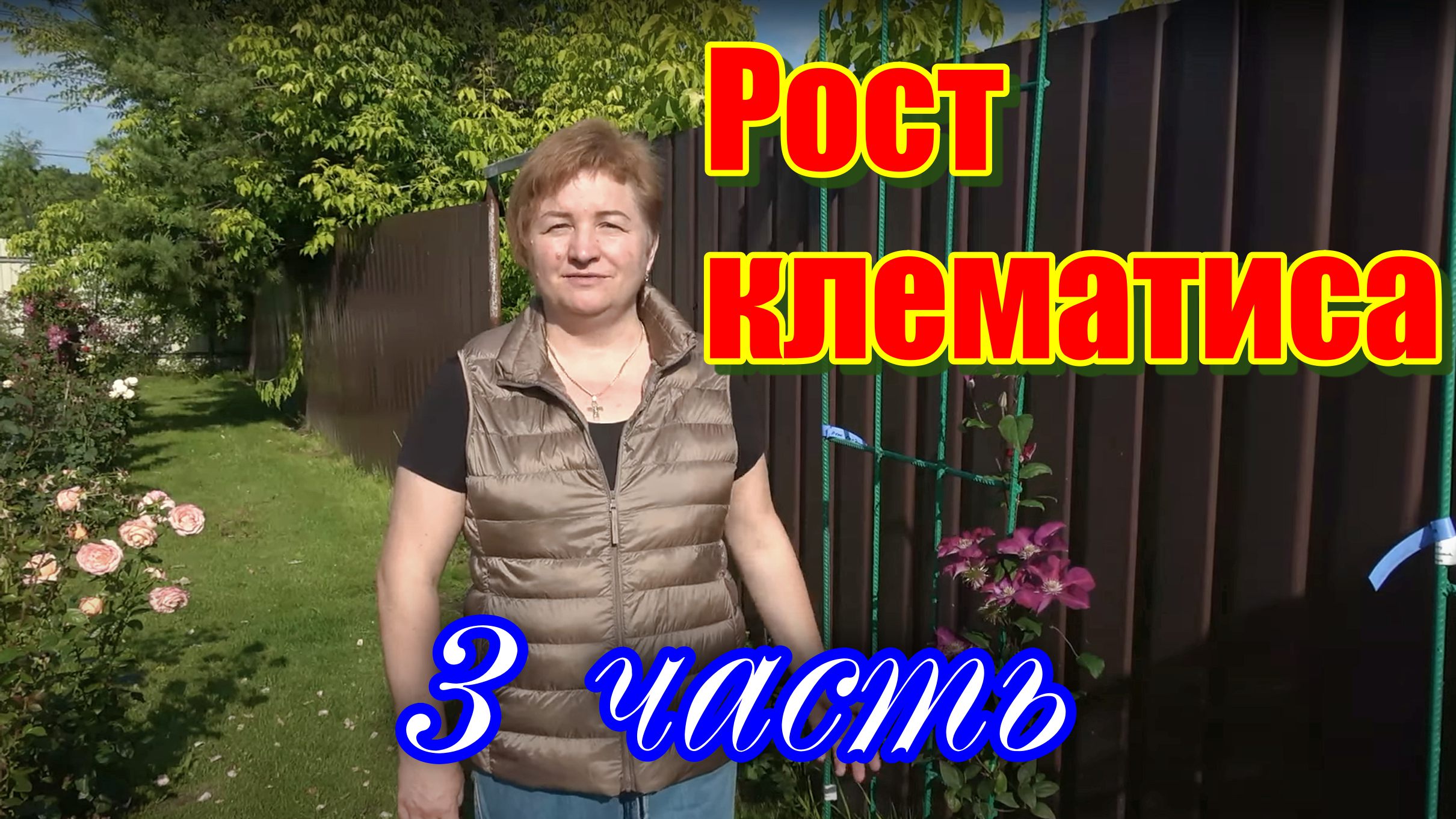 Рост клематиса часть 3 смотреть онлайн