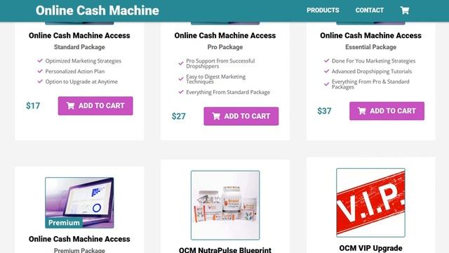The Online Cash Machine Review - Legit System? смотреть онлайн