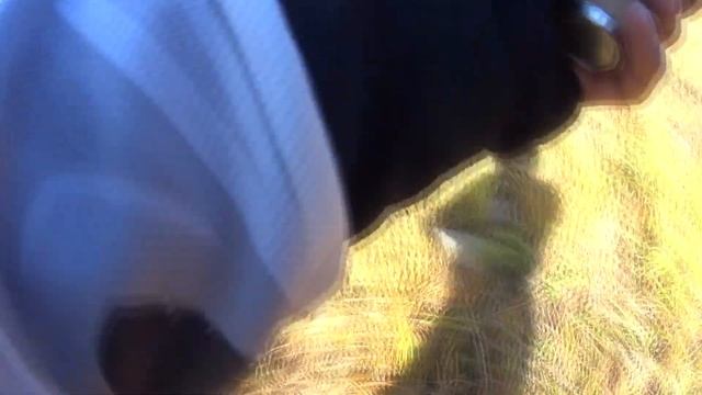 Рыбалка на Кие. Хариус на блесну и тирольку. От Макарака, до Кийского Шалтыря. 2 часть. смотреть онлайн