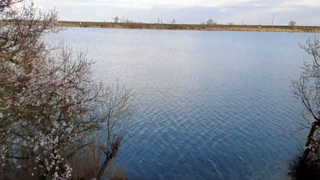 Маныч 2022(базок). ловля карася весной смотреть онлайн