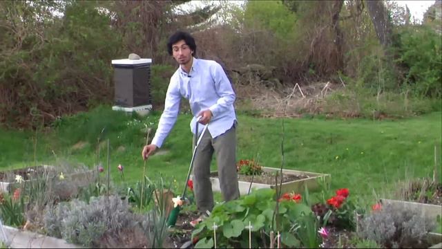 Planting Gladiolus смотреть онлайн