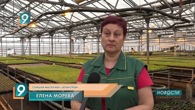 В этом году городские клумбы украсят около шестисот тысяч растений смотреть онлайн