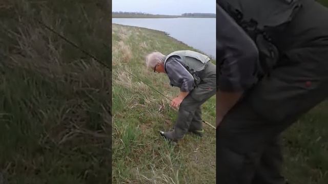 Начало весенней рыбалки в Астраханской области скла Вольное смотреть онлайн