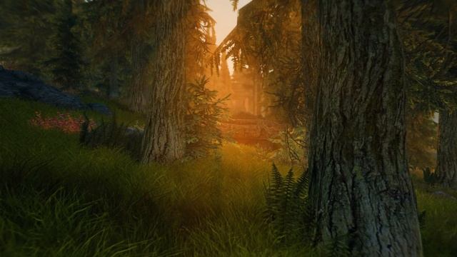 "MxR Wannabe" Addressing The Issue, Setup, Skyrim Mods (Q&A) смотреть онлайн