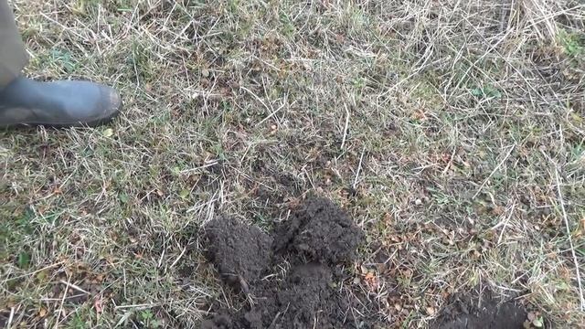 Должностной знак Сельский Староста 1861 года 19 февраля Калужской губернии ОБЗОР находок смотреть онлайн