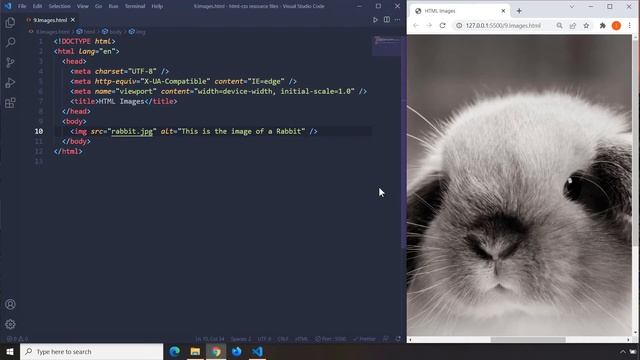 HTML-CSS Tutorial Lesson 9: HTML Images смотреть онлайн