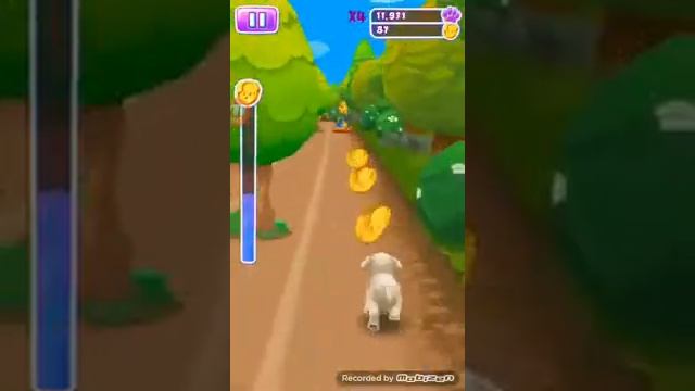 Per Run (кажись бег животного) смотреть онлайн