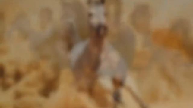 Какое фото вы хотите чтоб стояло на обоях канала???? смотреть онлайн