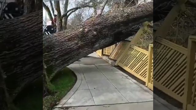 Предсказания пророков из Ислама почему скоро будет судный день смотреть онлайн