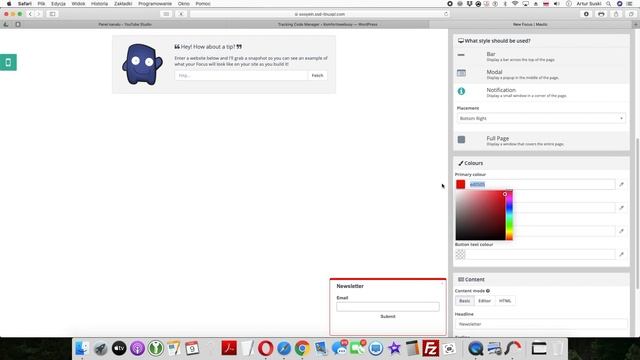 How to create a Mautic pop up focus form on the Wordpress website? смотреть онлайн