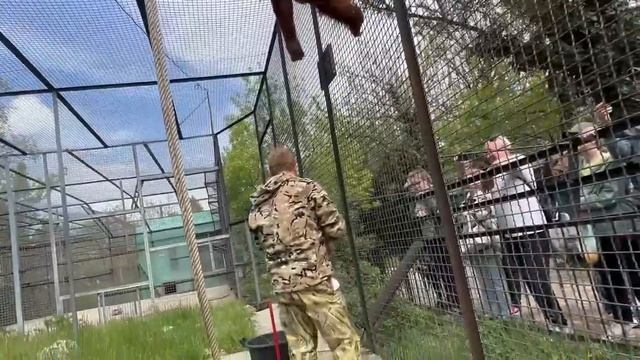 Дана устроила ЦЕЛОЕ ШОУ, привлекая к себе внимание Олега Зубкова! смотреть онлайн