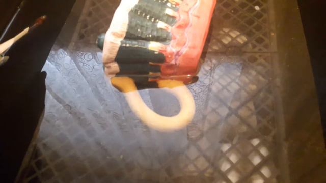 Впервые увидел что рак полинял смотреть онлайн