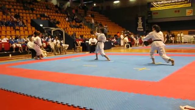 Чемпионат Европы по Традиционному Карате ITKF 2011 смотреть онлайн