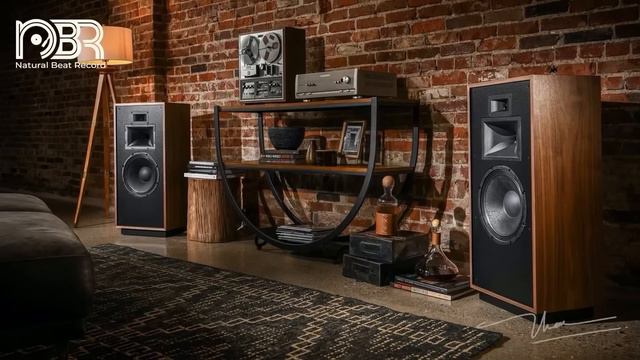 Hi End Audio Sound Test - Greatest Audiophile Collection - Natural Beat Records
