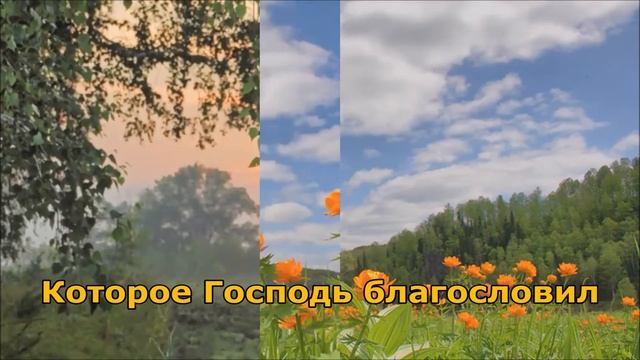 Минусовка - Спускается над озером закат (Я. Поплавская &А.Тиханович) смотреть онлайн