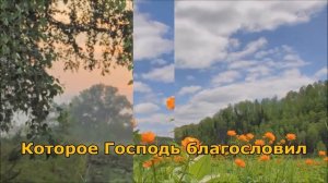 Минусовка - Спускается над озером закат (Я. Поплавская &А.Тиханович)