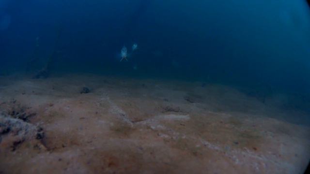 Ловля окуня на мормышку с мотылем, подледные съемки. смотреть онлайн