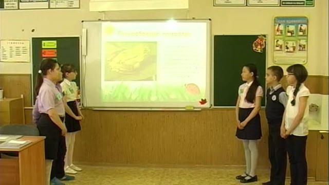 Проект "Что мы знаем о Земле". Группа "Биологи" смотреть онлайн