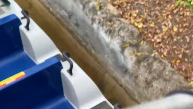 Майами влог 7: рассвет на берегу океана/зоопарк в США