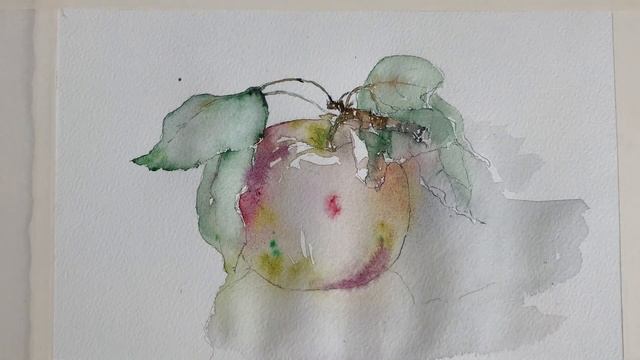 Watercolor Apple. Sketch. ( test Paper Arches ) смотреть онлайн