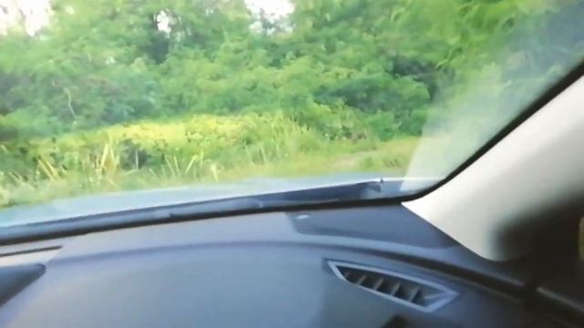 ShAmX Off Roading Debut With Subaru XV GT 2019. смотреть онлайн