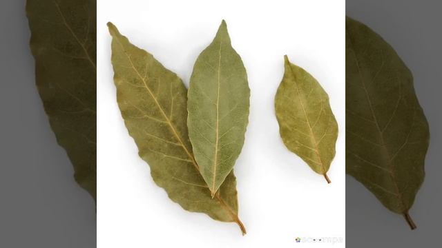 Кулинарные Приключения