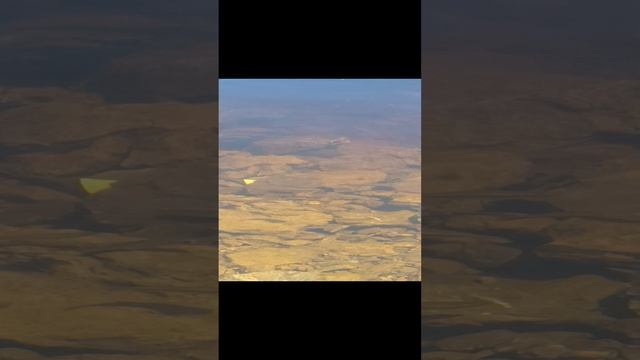 косяк рыбок смотреть онлайн