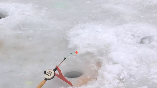 Зимние приманки для ловли форели на платнике смотреть онлайн