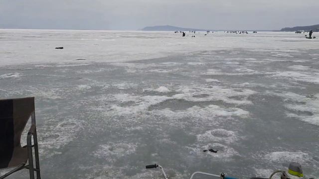 Мы опять на рыбалку.Закрыли сезон на Тавричанке. смотреть онлайн