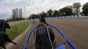 Поехали на приз! Заезд орловских рысаков старшего возраста.